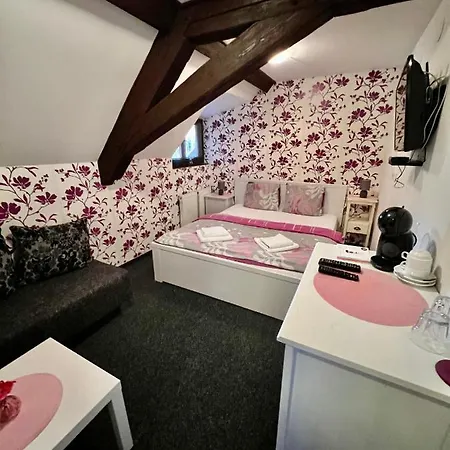 Jiřičná Hotel Sušice