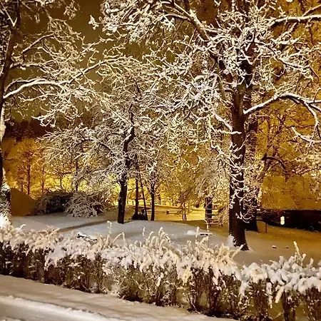 Jiřičná Sušice