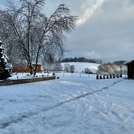 Jiřičná Hotel Sušice