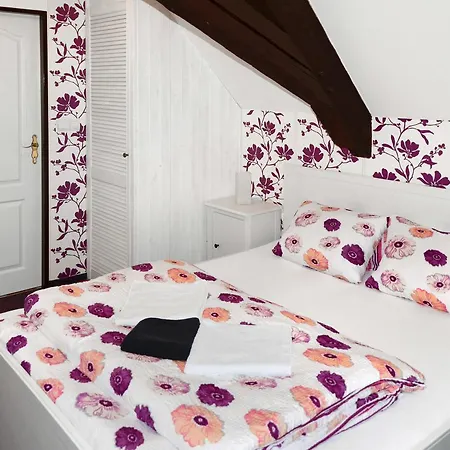 Hotel Jiřičná